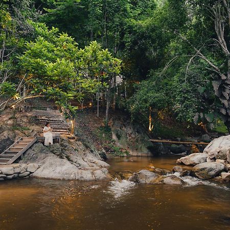 เดอะริเวอร์ แม่กำปอง The River Maekampong Chiang Mai Ban Pok Nai المظهر الخارجي الصورة