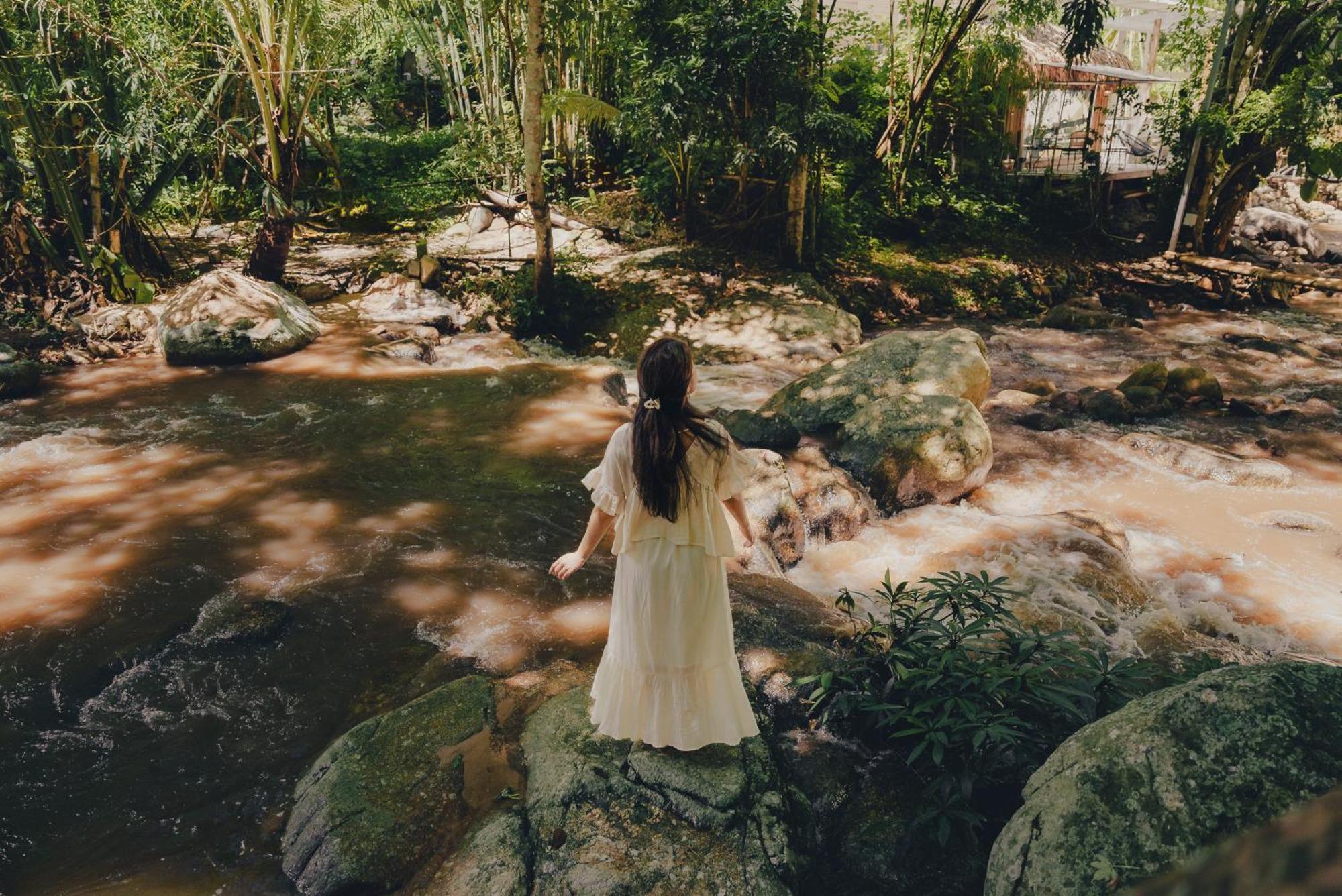 เดอะริเวอร์ แม่กำปอง The River Maekampong Chiang Mai Ban Pok Nai المظهر الخارجي الصورة